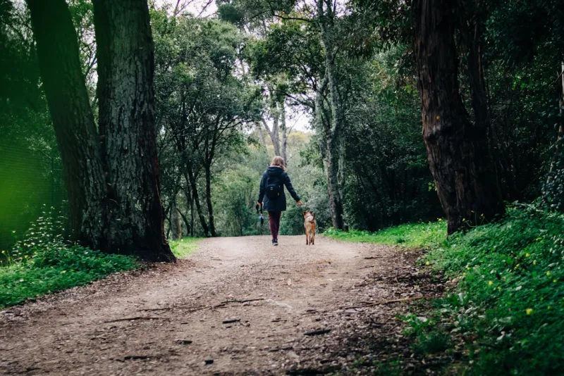 Les 5 meilleures randonnées avec son chien en France