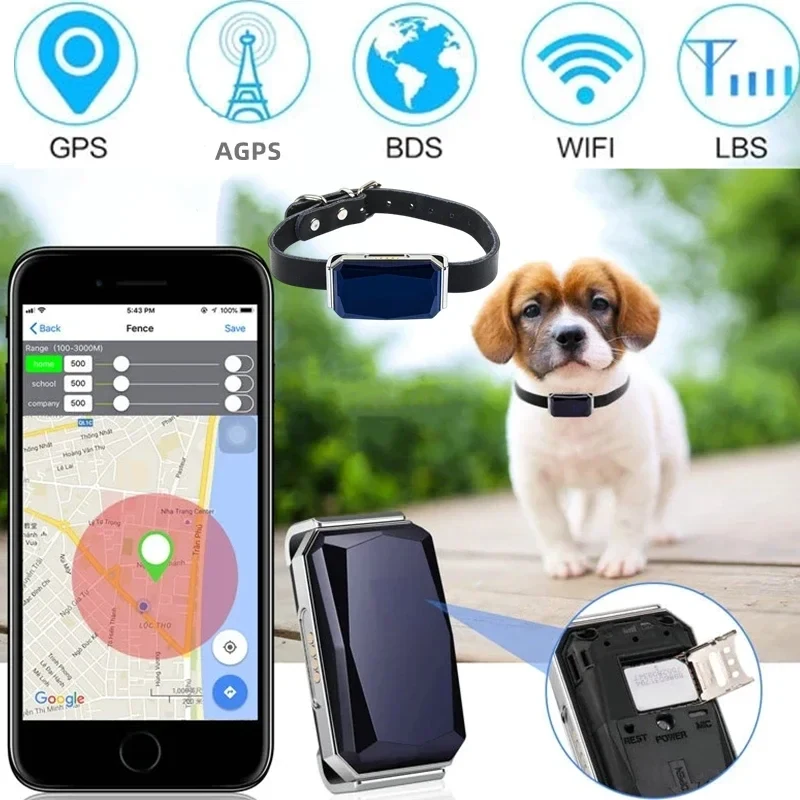 Collier GPS Chien Complet